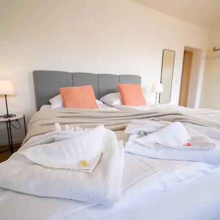 - With Kitchen - Balcony - Fair アパート ノイス